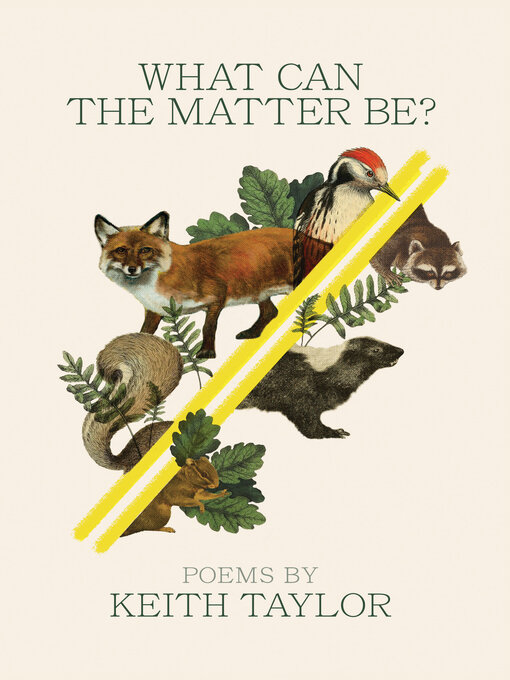 Title details for What Can the Matter Be? by Keith Taylor - Wait list